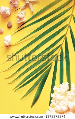 Summer vibes. Tropical palm leaf, seashells and starfish. Flat lay, top view. Yellow background