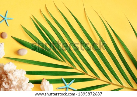 Summer vibes. Tropical palm leaf, seashells and starfish. Flat lay, top view. Yellow summer background. Summer concept.
