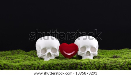 Day of the Dead, skull on the grass