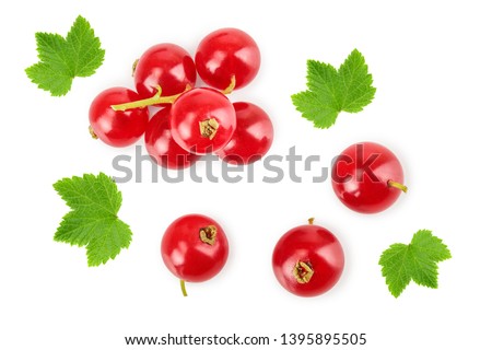 Red currant berry isolated on white background. Top view. Flat lay pattern Royalty-Free Stock Photo #1395895505