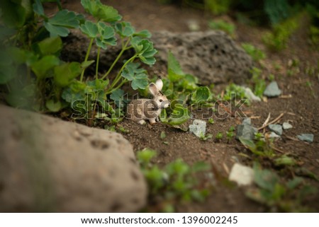 toy gray rabbit sitting on the ground in the grass and leaves with ants running around