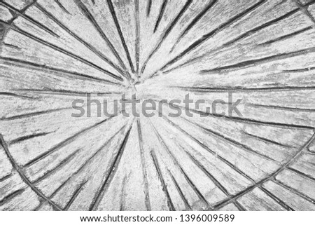 Line stump printed patterns texture on gray or white concrete floor background