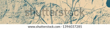 abstract celadon and beige grunge texture on background with copy space or image for design.