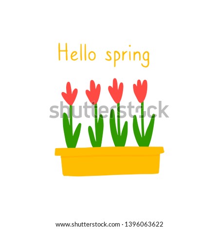 Vector clip art Hello spring. Illustration of Tulip flowers in simple Doodle style. Isolated plants on a white background. Postcard print, social media post, mailing, t-shirt print