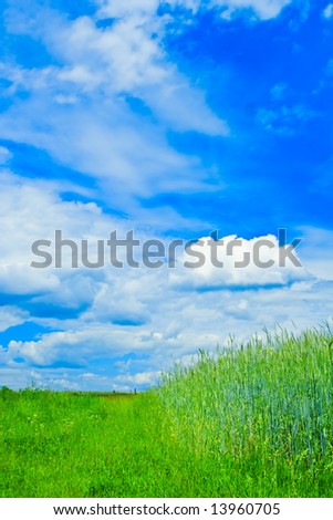 Green field - Landscape