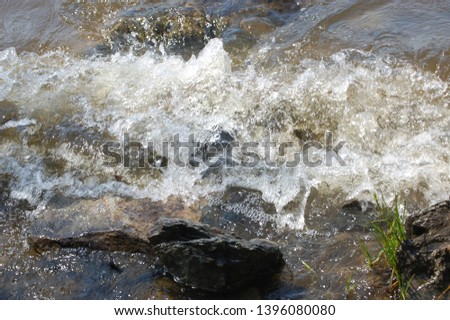 fresh water stream in mountain brook, close up