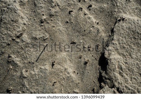 Sand texture. Background image. Macro photo.