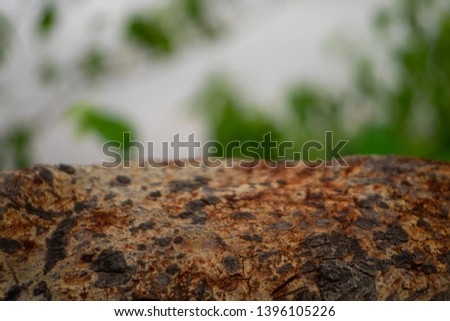 Close up black and brown wood texture on blur nature background. Copy space.

