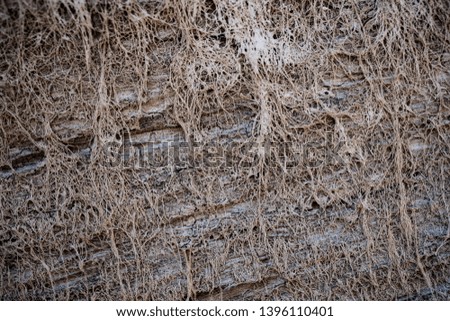 Texture of lifeless river dried river bed. Background image. Macro photo.