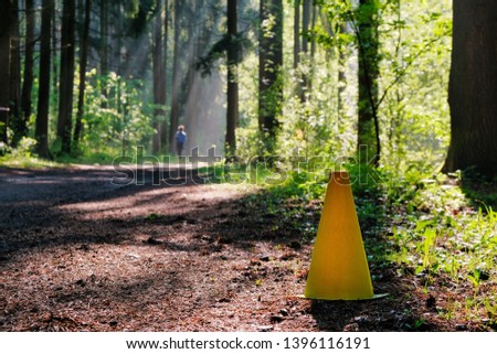 Photo of horizontal bars for a healthy lifestyle in the sunlight in the green forest, spring time. Beautiful nature in the morning in the fog. Magic fairy forest with mysterious lights.