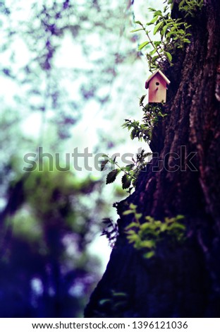 Birdhouse on a blooming tree, tiny nesting box in spring flowers. Creative spring photography with copy space. House buying concept