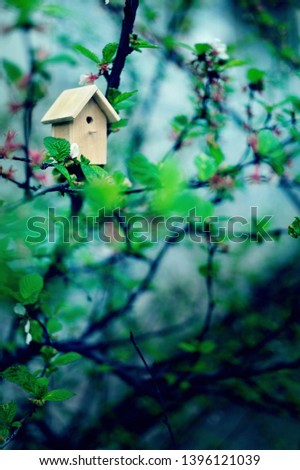 Birdhouse on a blooming tree, tiny nesting box in spring flowers. Creative spring photography with copy space. House buying concept