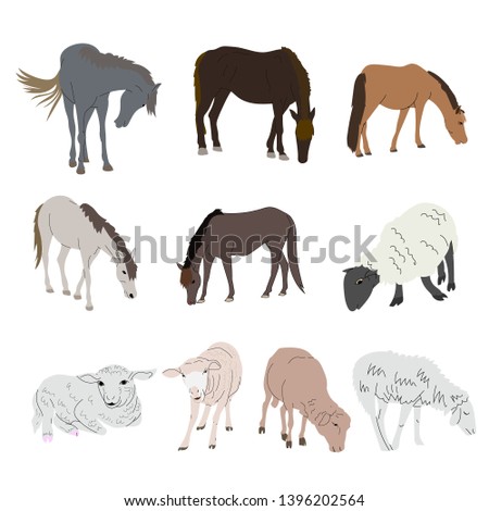 DRawing set of horse and sheep isolated on white background. vector illustration.