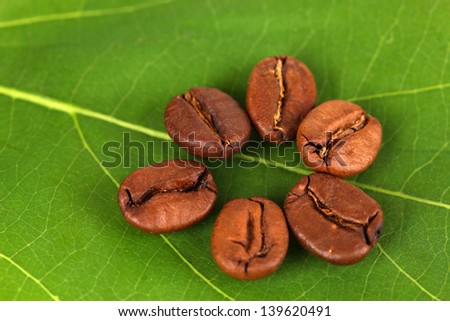 Coffee grains on green leaf close-up