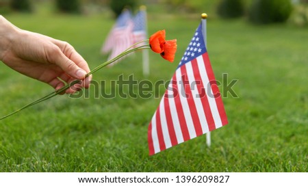 Woman hand with flowers honoring american soldiers on memorial day. Memorial day concept
