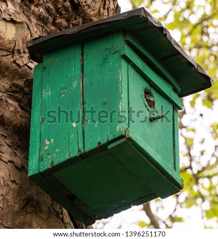 A wooden box for birds. Feeding birds. Bird protection.