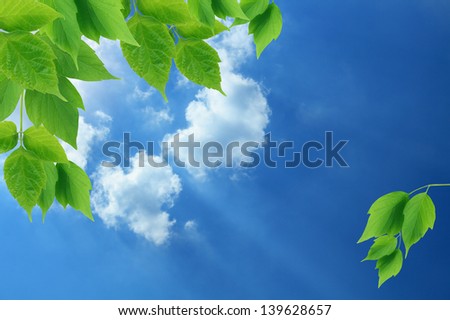 Nice border made from green leaves on background with blue sky and clouds