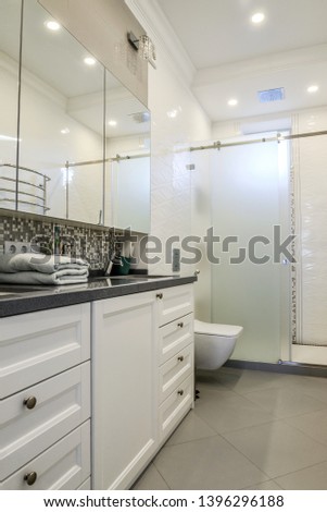 Beautiful  bathroom in scandinavian style in luxury home