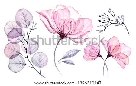 Watercolor Transparent floral set isolated on white collection of roses, leaves, branches bundle in pastel pink, grey, violet, purple, botanical illustration wedding design