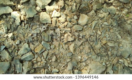 Stone on the ground in the forest, background.