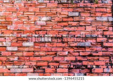 Close up with grunge brick wall texture.