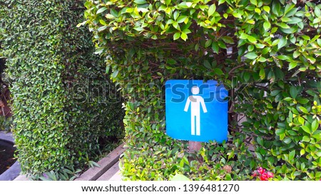 Man toilet sign, blue sign on green leaves Ficus Annulata tree