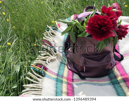 Violet backpack with red peonies inside on the checkered blanket on the green grass. Copy space. 