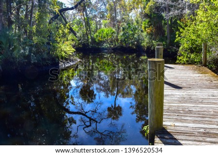 A beautiful place to hike or kayak, the trails and Pithlachascotee River provide an escape from urban life and a chance to get back to the nature of Old Florida.