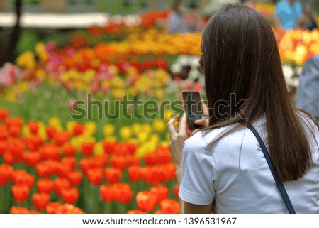 A young woman with a smartphone takes pictures of bright spring tulips
