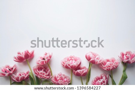 Minimal shot of pink flowers framing the picture with space for copy, text on white background
