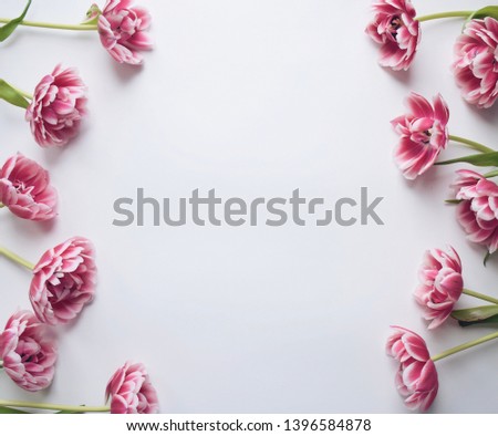 Minimal shot of pink flowers framing the picture with space for copy, text on white background