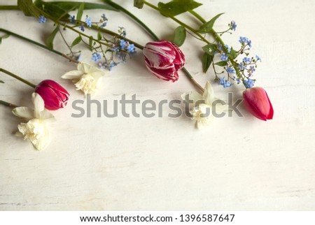 spring flowers,tulips,daffodils ,forget-me-not,flat lay,white background