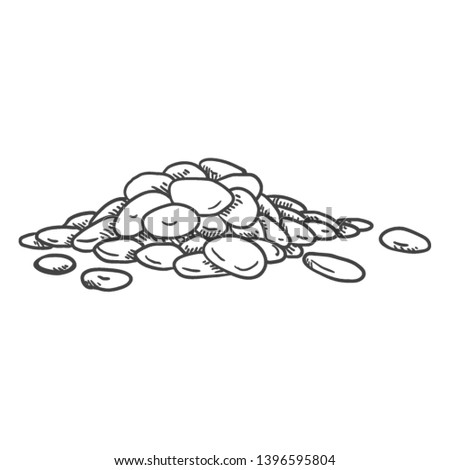 Vector Sketch Pile of Lentils on Isolated White Background Royalty-Free Stock Photo #1396595804