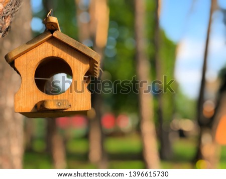 House for birds on the tree in the park. Birdhouse on the tree for birds and squirrels. Wooden feeder. Blurred Background