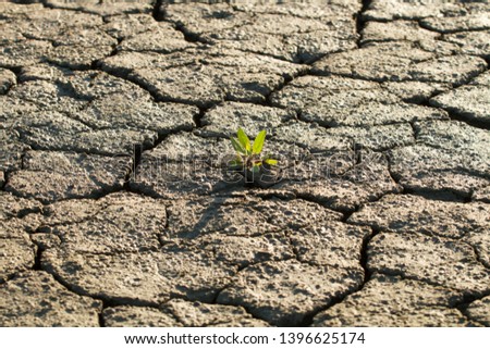 yellow dry land, sand or ground - colorized photo