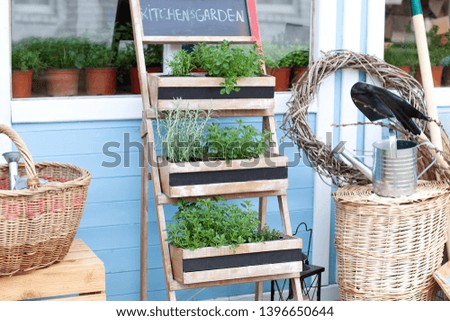Gardening. Spring Garden Growing plants in pots. Wicker baskets next to the garden equipment against the wall of a blue country house. Summer seasonal vacation. The decor of the backyard country house