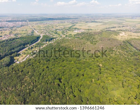 aerial view of forest. landscape. summer time. birds eye