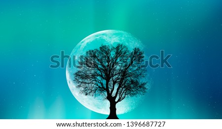 Beautiful landscape with lone tree in the background full moon and aurora "Elements of this image furnished by NASA"