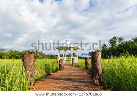 Wooden bridge surrounded by rice paddies heading to the white pavilion on the blue sky with many clouds.