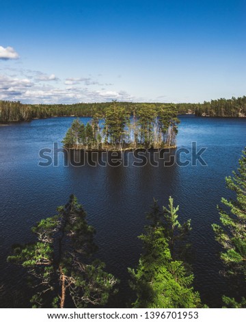 beautiful lake and forest landscape with clear blue sky