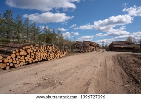pile of wood logs and blue sky