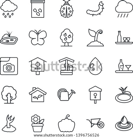 Thin Line Icon Set - flower in pot vector, tree, watering can, wheelbarrow, sproute, butterfly, lady bug, water drop, rain, well, pumpkin, seeds, caterpillar, pond, bird house, photo gallery, fruit