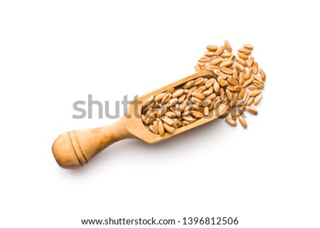 Healthy spelt grains in wooden scoop isolated on white background. Royalty-Free Stock Photo #1396812506