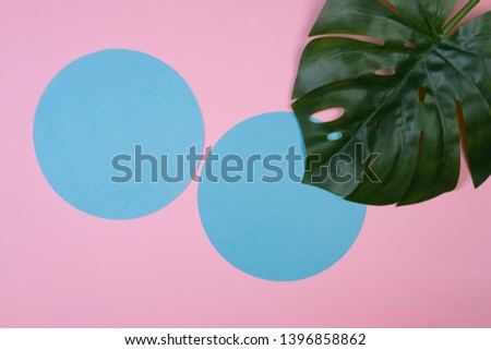Green tropical monstera leaf on pink background with copy space. Art concept