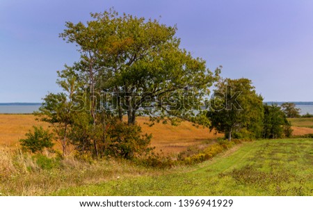 Very pleasant early autumn scene of a farm field in the Minas Basin area of Annapolis Valley region of Nova Scotia.
