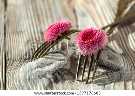 Edible flowers and fork on white wooden natural table. Free space for your decoration. 