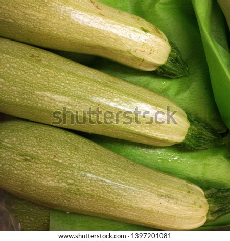 Macro photo food product vegetable zucchini. Texture green juicy fresh vegetables zucchini.