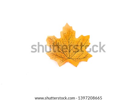 Yellow autumn leaf isolated on a white background