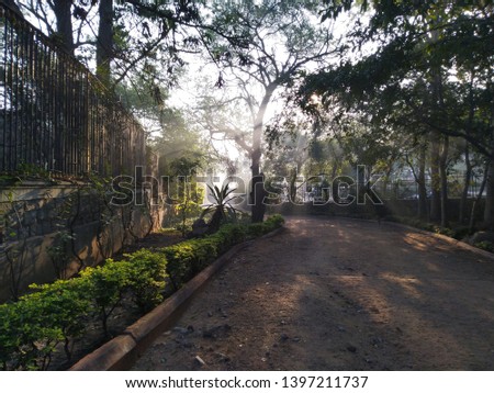 Morning sun rays through trees along the mud road on a walking track in a park