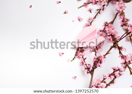 Peach blossom on white background and paper plane . - Image